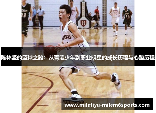 陈林坚的篮球之路：从青涩少年到职业明星的成长历程与心路历程